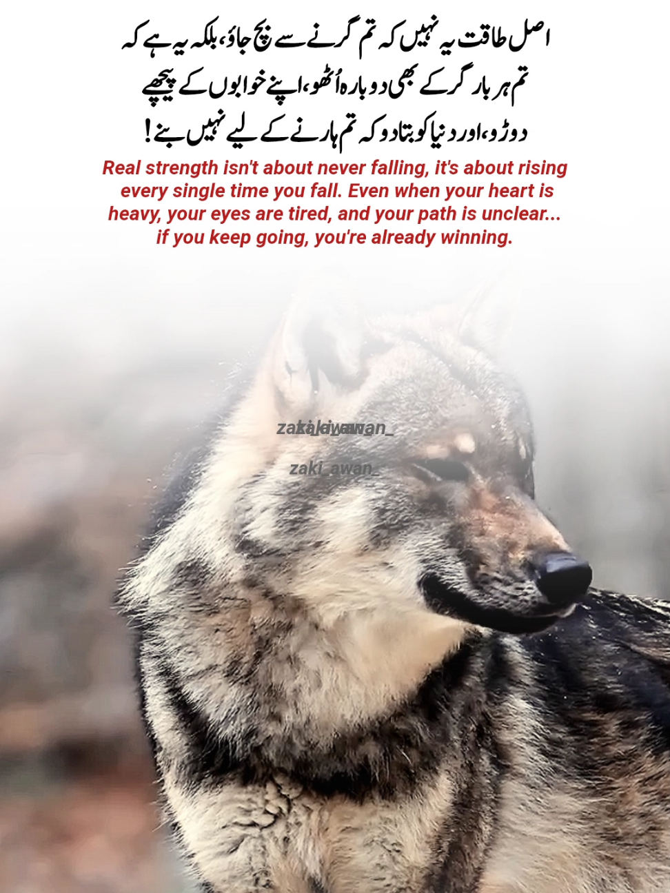 Failure is a stepping stone to success..✨🩹  #creatorsearchinsights  #relatable #growmyaccount #targetaudience #attitude #zaki_awan_ 