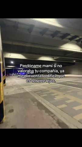 #mami #fyp #videoviral #corazonvscerebro #borrador #dedicar #frasesparati #bi #cry #bajonesemocionales #tristezaprofunda #tristeza #contenido #familiajuguito🧃 
