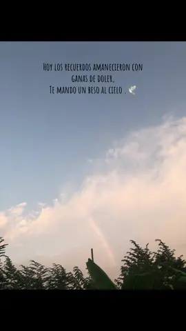 Siempre vivirás en mi corazón NC🥺🕊️#paratii #hermanoteextraño💔😭 #foryou 