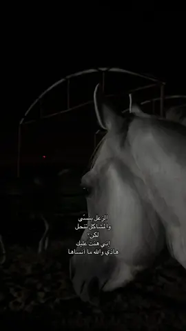 الزعل ينسّى والمشاكل تنحل لكن إني هنت عليك هاذي والله ما أنساها . . #صولا #خيل_وخياله🐎 #اصاله #explore #اقتباسات #ترند #fyp #اكسبلور 