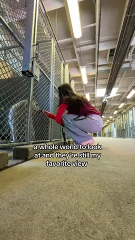 shelter dogs are my love language 