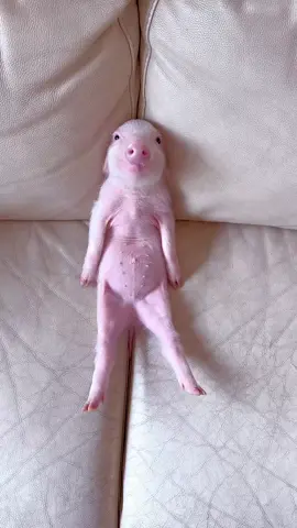So cute 🥰