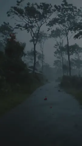 We admire the beauty... but what’s their truth? | දකින අපිට සුන්දර වුණාට දැනෙන ඔවුන්ට? #nature #fyp #darkvibe #nostalgia #darkforest 