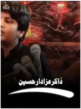 #Zakir Azadar Hassan Official  🚩🥰✨👀#50kviews🔥🔥foryou⚡tranding_vid #viralvideo #foryoupage @Aliwala772 🚩 @MURSHAD MERA🚩 @ZAKIR GHULAM ABBAS JAPA🚩 