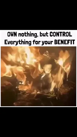 🍎🍅 LIKED BECAUSE #Business #Finance #Money #Investing #StockMarket #Trading #Entrepreneur #FinancialFreedom #Crypto #Bitcoin #Forex #elite
