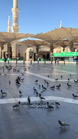 ‏لا تأمَن الأيام يومًا إنها خانت بعترةِ أحمد المُختارِ  #عاشوراء #النبي_محمد_صل_الله_عليه_و_آله_وسلم  #fyp  #جاسم_الحداد 