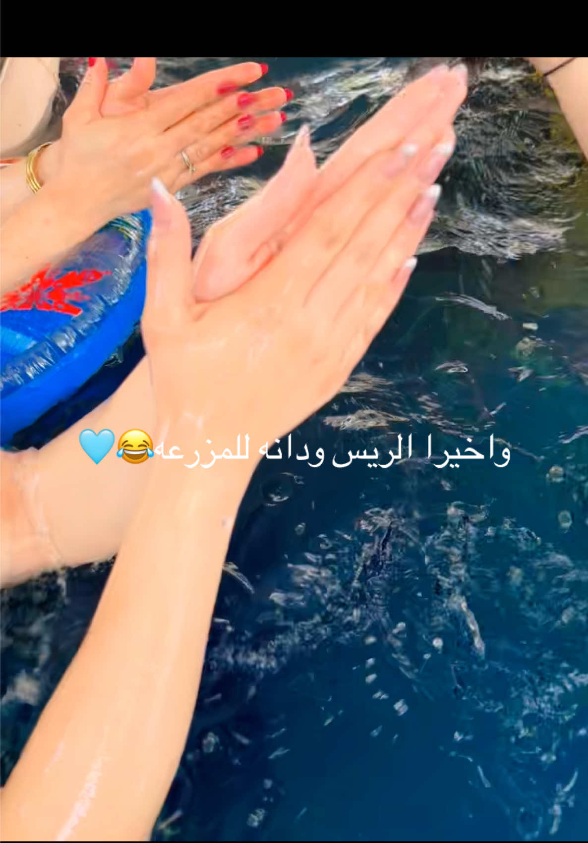 #اكسبلورexplore #ترندات_تيك_توك #ترند #سفره #مزرعه #الريس #الله_يخلي_الريس_الله_ايطول_عمره🤣😂 