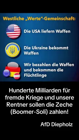 Deutsches Geld für Waffen und Kriegstauglichkeit ❗️ Wir von der AfD sagen NEIN❗️❗️❗️