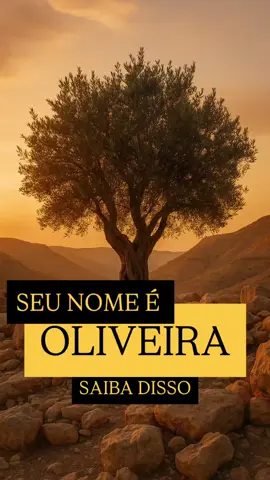 Sobrenomes como Oliveira escondem histórias que nunca foram contadas. António José da Silva “O Judeu” foi queimado vivo no século XVIII por causa da sua fé. Mesmo com nome cristão, sua alma era judaica. 🌿 E se o seu sobrenome for uma herança esquecida da resistência? Você carrega um nome… ou um chamado? #oliveira #palavradedeus #bíblia #evangelho #fé #biblia #salvação #amor #verdades #teologia #tanach #mentira #religião #torá #judaísmo #original #patriciaalvesensina