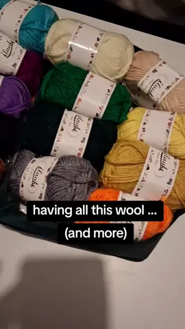 Any Ideas Would Be Amazing!  #chaoswoolandsolace  #trend #fyp #like #crochetersoftiktok #crochet #givemeideasplease 