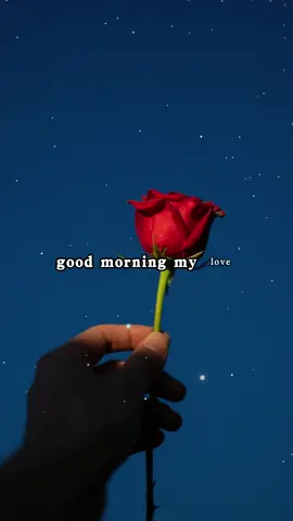 #Love #lovequotes #fypシ 