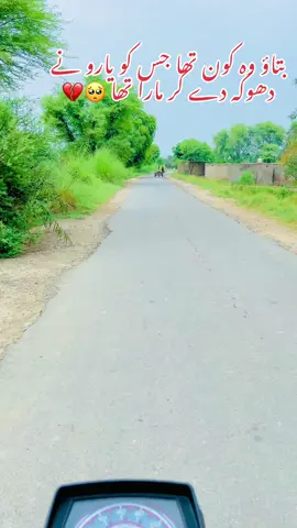 بتاؤ وہ کون تھا جس کو یارو نے دھوکہ دے کر مارا تھا 🥺💔#foryour #foryouu #foryoupage❤️❤️ #foryour #saraikisong #saraiki__status #saraikistatus #saraiki__status #status #statusvideo #saraiki #سنگت_ویڈیو_وائرل_کریسو_آپ_ہیں🥀🌼🙈✨🎇 #سنگت_ویڈیو_وائرل_کریسو_آپ_ہیں🥀🌼🙈✨🎇 #سنگت_ویڈیو_وائرل_کریسو_آپ_ہیں🥀🌼🙈✨🎇 #foryoupage❤️❤️ 