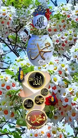 #viral #محمدصلى_الله_عليه_وسلم #سبحان_الله_وبحمده_سبحان_الله_العظيم @حبیب اللہ 11 