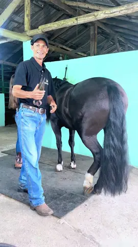 Pitiful 🚀 🐴 #farrier #farriersoftiktok #farrierlife #horse #horses #horsesoftiktok #hoof #hoofcare #care #animalwelfare 