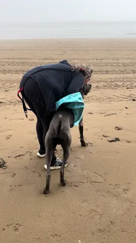 What is with the UK weather right now ☀️🌧️ At least I had my quick drying towel from @The Clean Dog Company to save the day 🩵