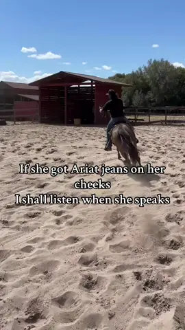 Out of pocket #morganhorse #horses #fyp #viral #trending #rodeo #florida 