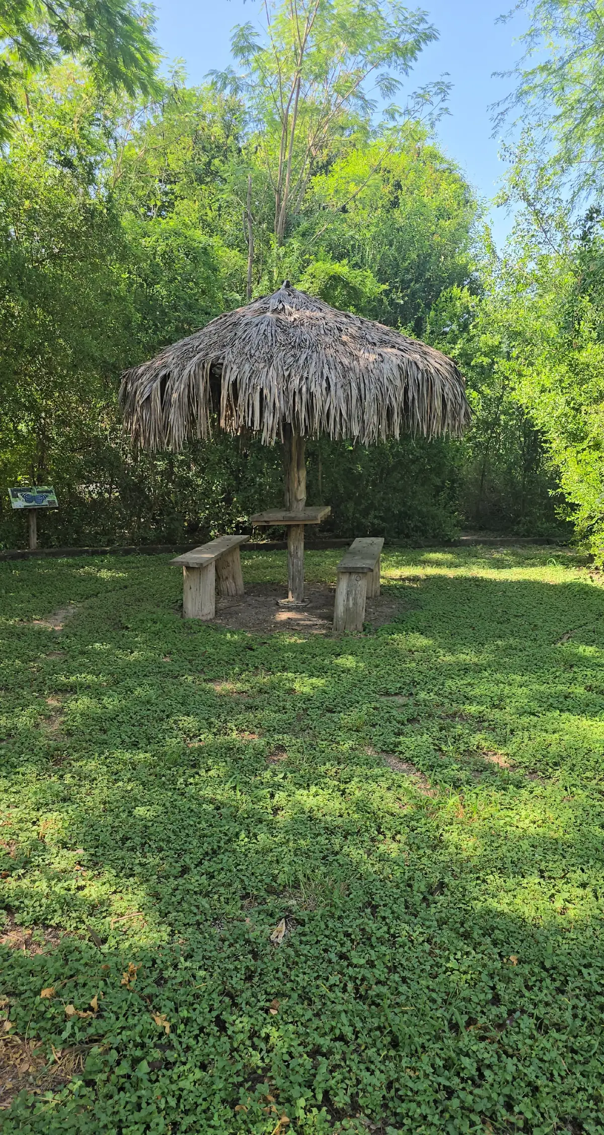 adivinen donde estoy?  el video sale pronto✨️💕 esperenlo🤗 #fyp #missiontx #valley956 #956valley🌴 #outdooradventures #explorergv #parkvibes #FamilyFun #thingstodo 