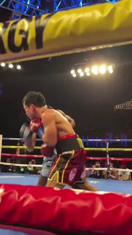 Brownsville Bully in full effect 🤯 #trboxing #toprank #boxing #knockout 
