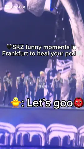 Still haven’t recovered so a lil hyperfixation might help 🥹 #straykids #fy #stay #skz #skzworldtour2025 #SKZdominATE #frankfurt @Stray Kids 