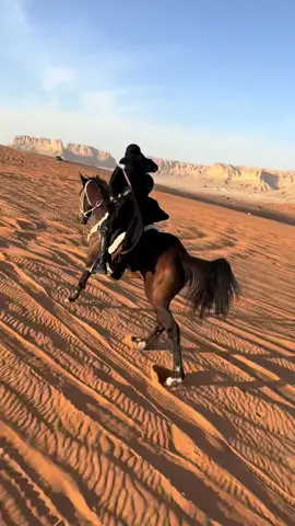 #خيل_وخياله🐎 #اكسبلور #explore #مالي_خلق_احط_هاشتاقات #ليل #ماشاءالله 