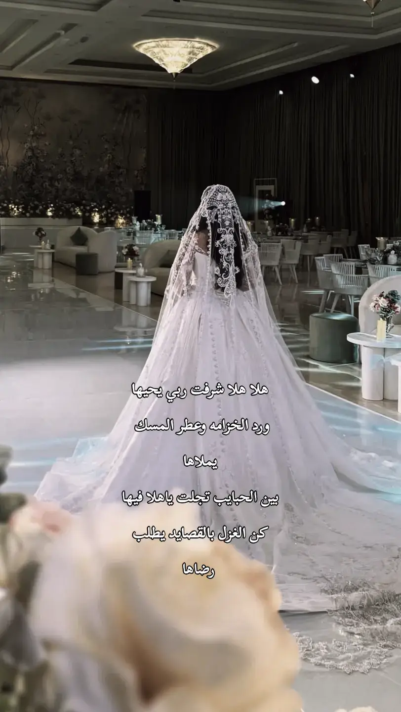 #زفة_عروس #زفات_ماجد_المهندس_بدون_حقوق #زفات_راشد_الماجد_بدون_حقوق #زفات_2024_محمد_عبده #حسين_الجسمي #زفه_بدون_موسيقى 