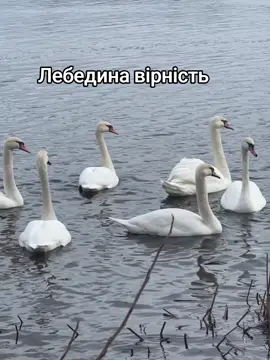 #відпочинок  #рекомендации 