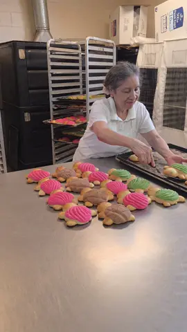 Tortuga Concha time! Hoy tenemos color Rosa, verde y chocolate. Vengan por una. 112 South Carroll Dallas Tx 75226 #eastdallas #supportsmallbusiness#pandulce #panaderia#bakery #mexicanowned #concha #dallasbaker #dallasbakery 