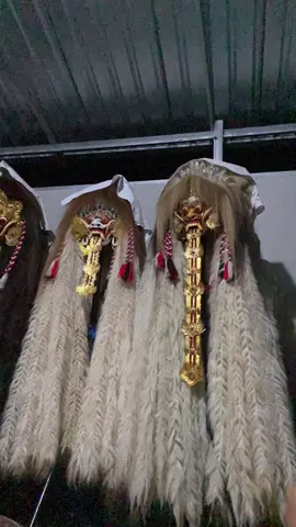 Sang penghibur #tiktok #fyp #keren #masukberandafyp #1m #zxycba #rangda #leak #kesenian 