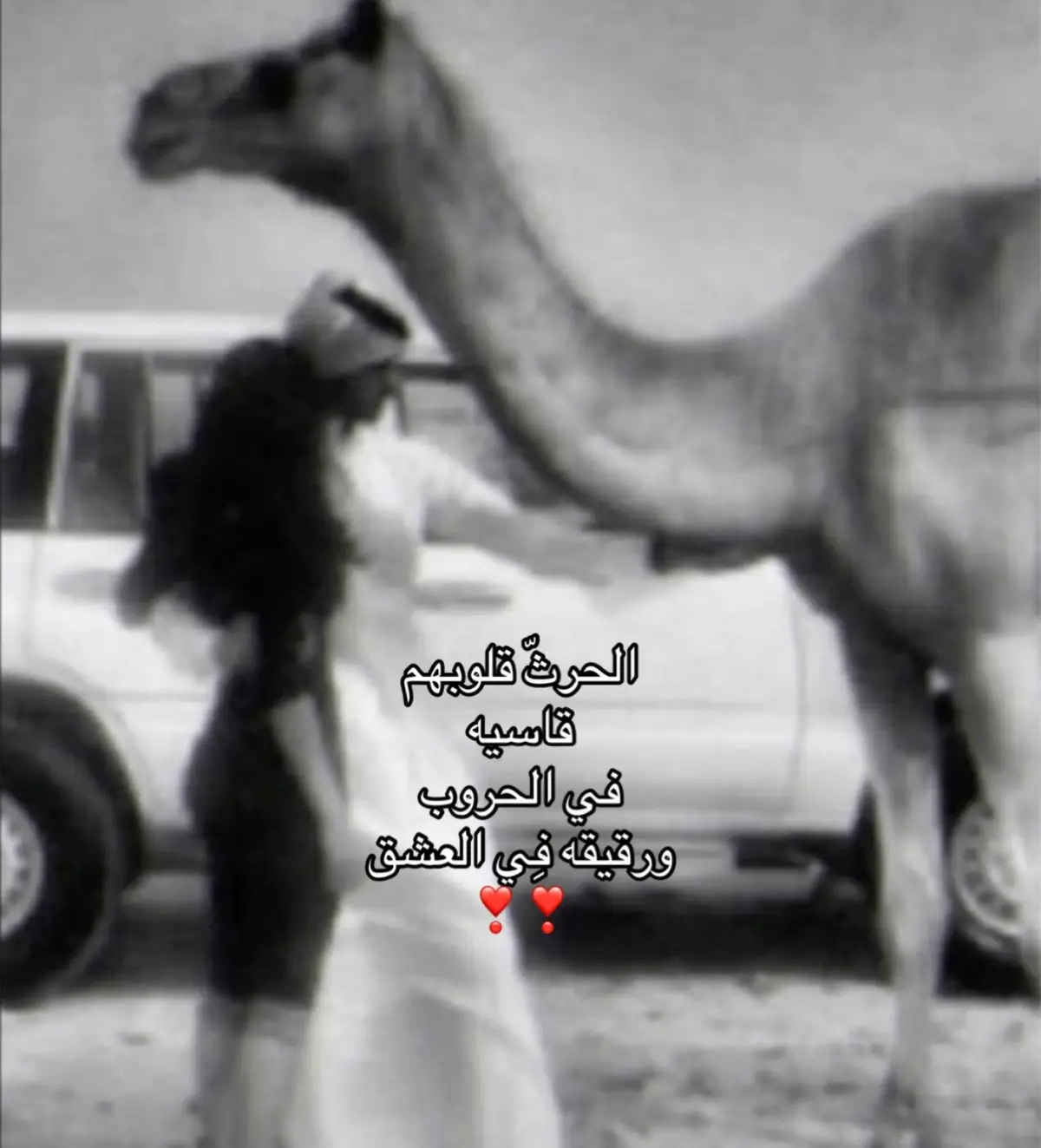 #بني_حارث #السعودية🇸🇦 #501 #الحجاز #foryou #fyp #اكسبلور #جمرة_عرب #نجدالعذيه 