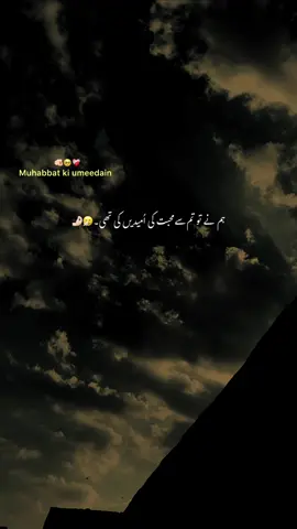 Hum Ne Tu Tumse Muhabbat Ki Umeedain Ki Thi😣💔#fyp #1millionaudition #foryoupage #grow #account #viral #urdu #aesthetic #poetry #hehe_uzairr 
