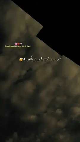 لیکن وہ قریب ہو تو انکھیں اٹھائی نہیں جاتی۔🫠👀🌸🫣#fyp #1millionaudition #foryoupage #grow #account #viral #urdu #aesthetic #poetry #hehe_uzairr 