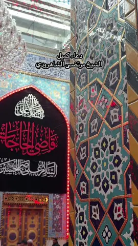 دعاء كميل بصوت الشيخ مرتضى الشاهرودي #يارب #اللهم_امين_يارب_العالمين #اكسبلور #دعاء_يريح_القلوب #اللهم_انك_عفو_تحب_العفو_فاعف_عنا 