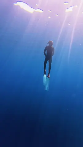 Visibility pulau kambing emang gk pernah gagal 🎥 : @Ahmad Nadir   Trip by : @ND Create  #freedive #freediver #freediving 