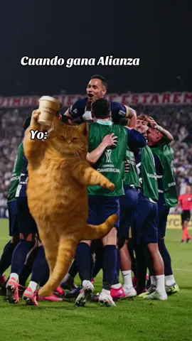 Sí somos. 🥹💙 #conalianzasiempre #vamospormás #arribaalianza #fyp #footballtiktok #alianzalima #conmebol #sudamericana