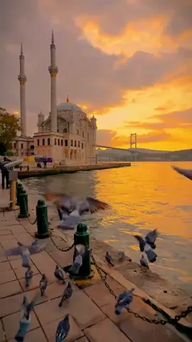 Turkey is my dream 🇹🇷🥀 #view #ctam6ул #pek #keşfet #sunset #viralvideo #turkey #night #bosphorousbridge #turkeý #turkey🇹🇷 #turkish #views #travel #istanbul #cta 