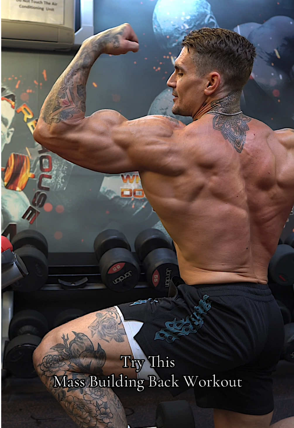 Size Building Back Workout💪Save & smash this to grow those wings! 1) DB One Arm Row - 4 x 8-10 2) Straight Arm Pull Down - 4 x 8-10 3) Reverse Fly - 4 x 8-10 4) Close Grip Pull Down - 3 x 10-12 5) Close Grip Row - 3 x 10-12 6) Lat Pull Down - 2 x 10-12 (90sec Rest Between Sets & 2min Between Exercises) #exercise #bodybuilding #gymworkout #backday #backworkout #back 