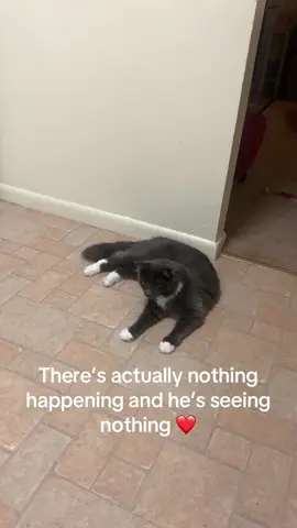 #cat 