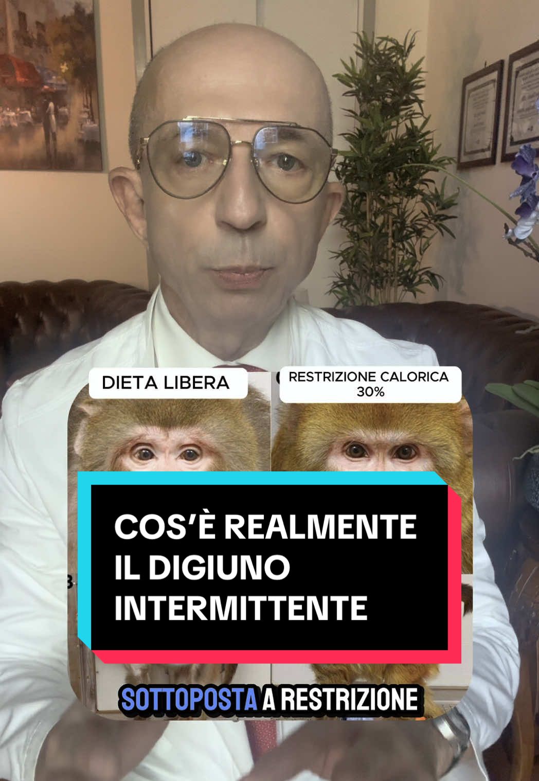 Il digiuno intermittente non nasce per dimagrire, ma per vivere più a lungo. Nasce dagli studi sulla restrizione calorica, come quelli condotti sulle scimmie rhesus, che hanno mostrato un invecchiamento migliore e meno malattie croniche. Oggi lo conosciamo come time restricted eating: mangiare entro 8 ore e digiunare per 16. Stimola l’autofagia, migliora la sensibilità insulinica, riduce infiammazione e lipidi, e sostiene i ritmi ormonali e circadiani. Per un percorso personalizzato puoi contattare la segreteria su tomella.it. #digiunointermittente #dietologo #nutrizionista #dieta #alimentazione 