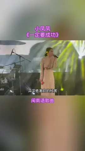#小凤凤 #一定要成功 #闽南語歌曲 #剪映视频制作 