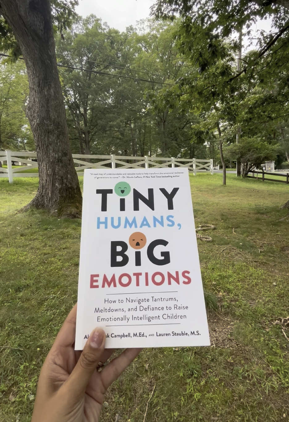 This book is amazing for learning how to raise emotionally intelligent children.  #momfinds #parenthack #MomsofTikTok #dadsoftiktok #parenting #parentingtip #motherhood #books #emotionalintelligence #childhood #childhoodtrauma 