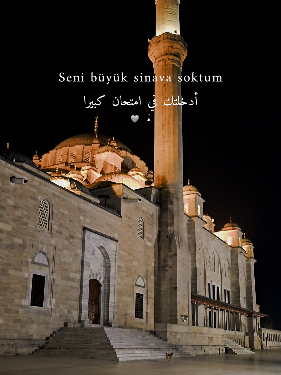 senin acılarını ben de görüyorum #fypシ #explore #trending #turkey #istanbul #tiktok #ه‍َ #من_القلب #foryoupage #foryou #fyp 