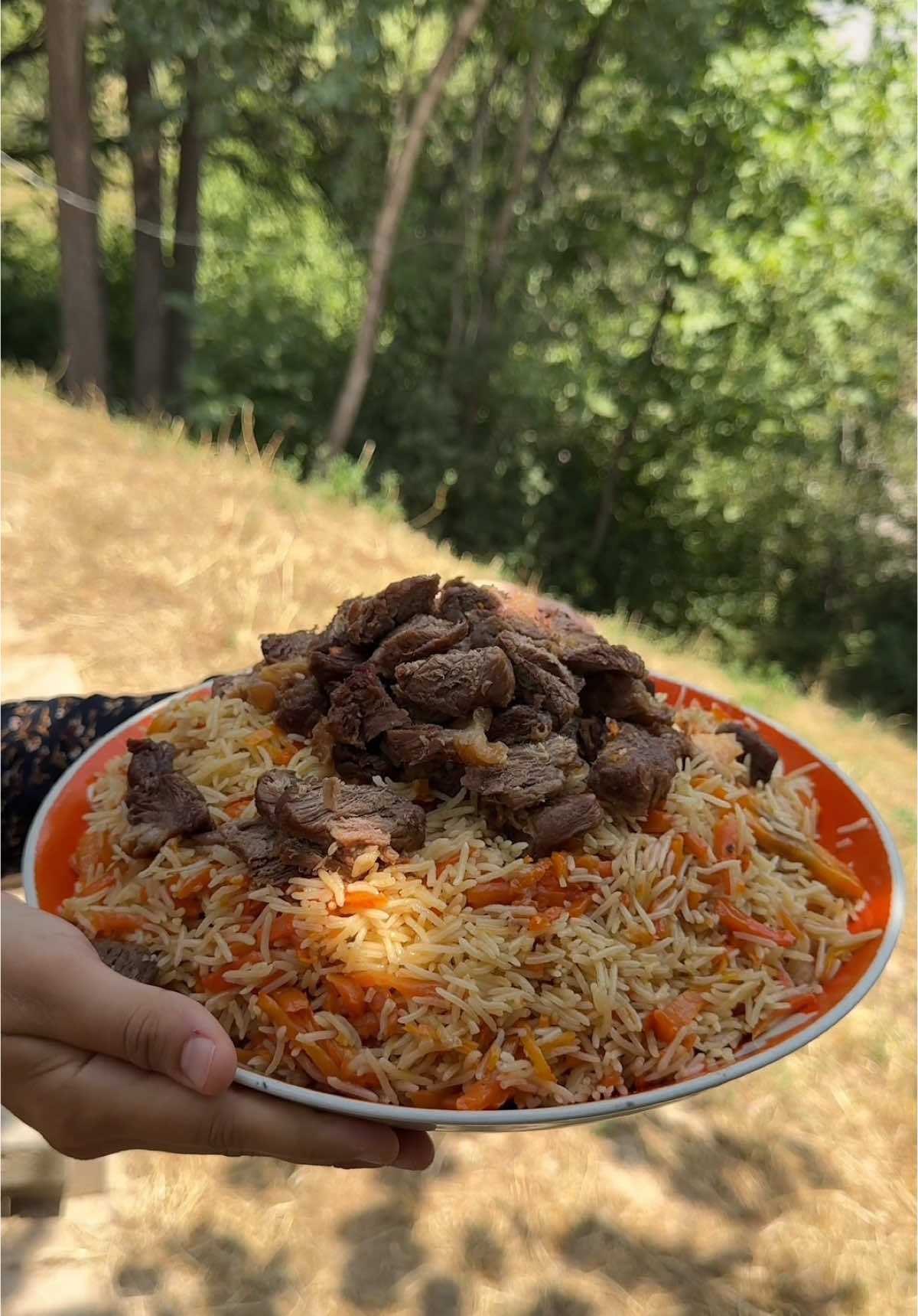Палови точики чунин аст!