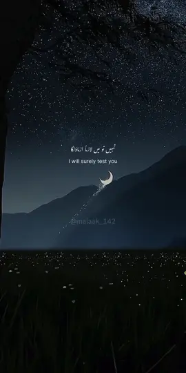Life doesn’t always go the way we want — and Allah tells us this again and again in the Qur’an. He reminds us that tests and hardships are a part of life. But the truth is, most of us were never really taught what true patience means or how to practice it. When you turn to the Qur’an, you see that Allah constantly encourages us to hold on to patience and never let go of prayer. In tough times, these are the two things we need the most — not just as rituals, but as real strength to carry us through.🩷 #foryou #islamic_video #foryoupage 