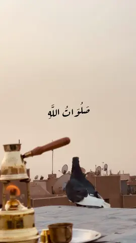 صَلِّي عَ الْحَبِيبِ الْقَلْبِ يَطِيبُ🕊️ #صلوا_على_النبي_محمد #صلوا_على_رسول_الله #اللهم_صل_وسلم_وبارك_على_نبينا_محمد #صلوا_على_النبي_محمد 