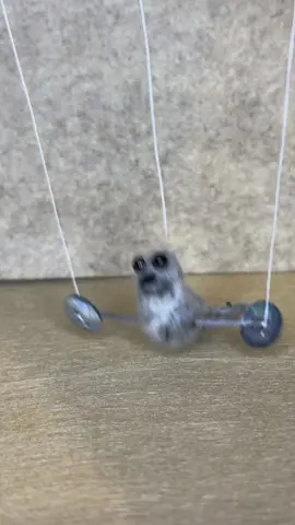 Lalalalala… Lalalalala… #buttonpuppets #seal #seals #puppet #marionette #needlefelting #felted #fiberart #felting #puppetsoftiktok 