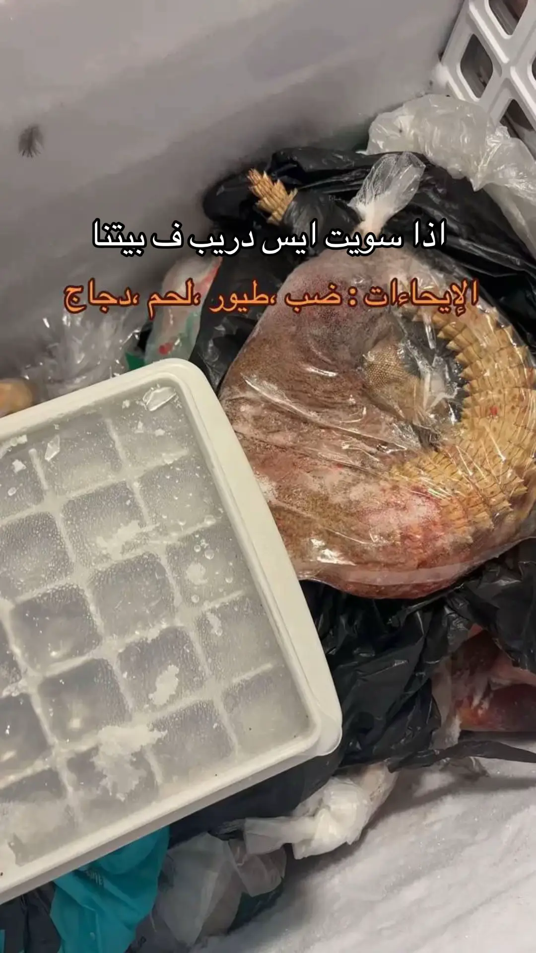 الصورة قديمة عام 2005 قبل الغرامات 👍#fyp 