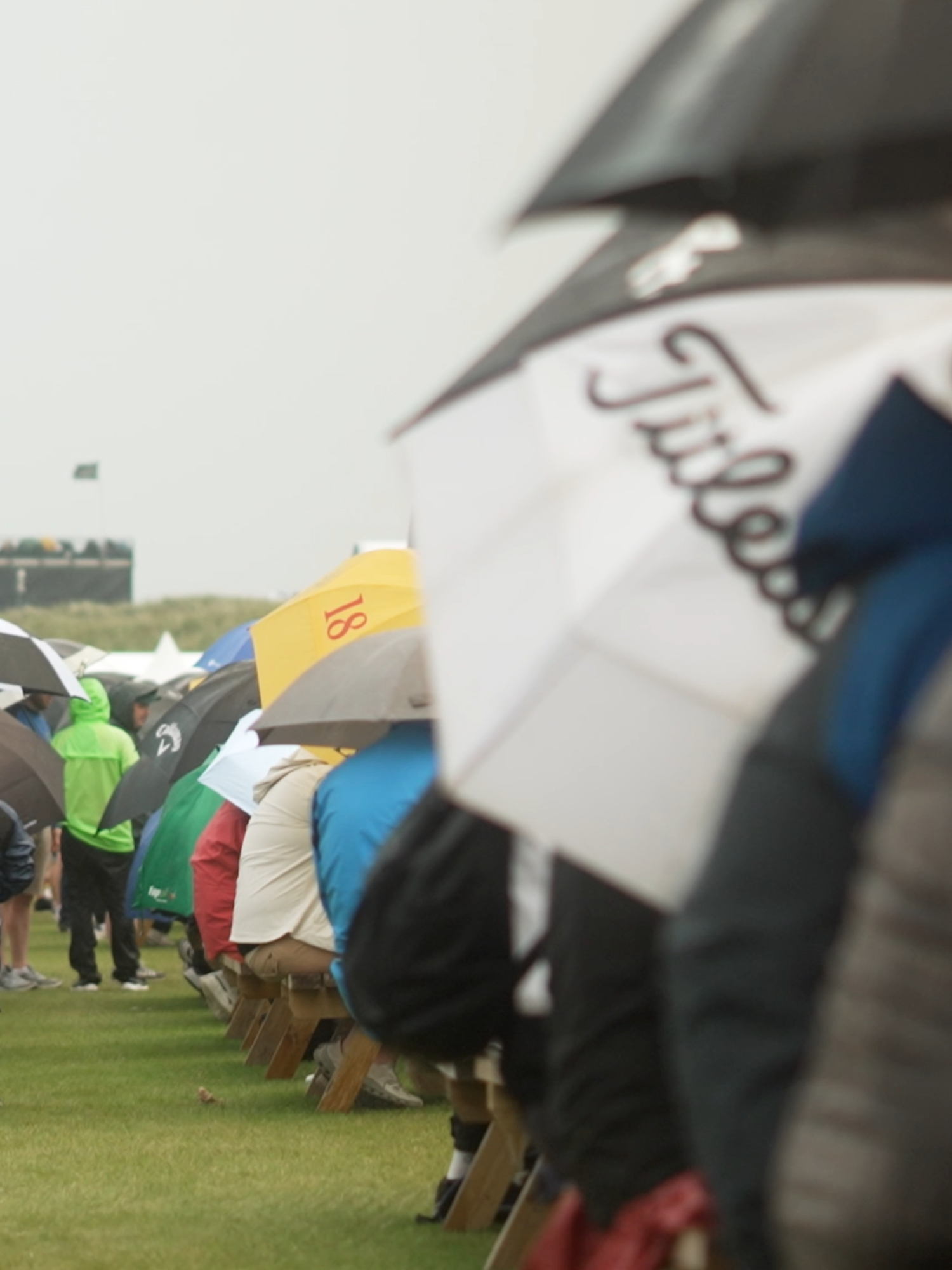 Sounds of The Open. Cuteness overload. #TheOpen