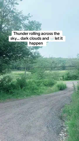 #storm #fyp 