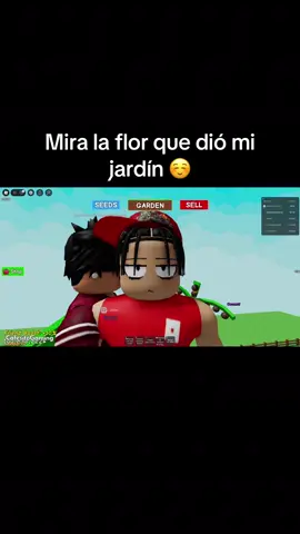 #growagarden #roblox 