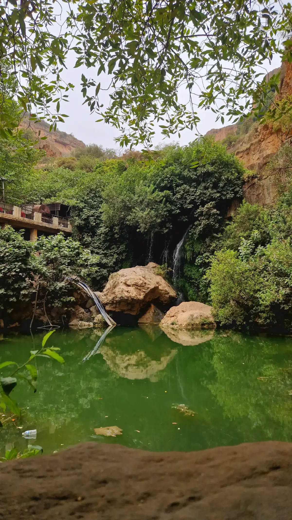 #creatorsearchinsights #scenery #algeria  #travel #visitalgeria #tlemcen  #palais #algerie #dz #details  #travelphotography #traveltheworld  #welcome_to_algeria #monument  #algerienner #fyp #algiers #alger #0 #4leJl  #algeria #algerie #dz #maghreb #northafrica  #africa #mediterranean #romanticizeyourlife  #algeriatiktok #discoveralgeria  #tourismalgeria #hopecore #tlemcen 4u #tlemcen #algeria #fyp #viral #pourtoi  #dz #aesthetic #fouryou #mechouar  #architecture #fyp 